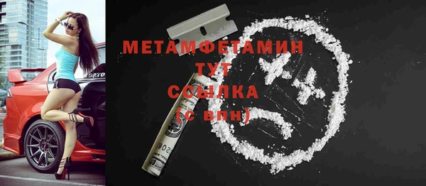 ГАЛЛЮЦИНОГЕННЫЕ ГРИБЫ Ельня
