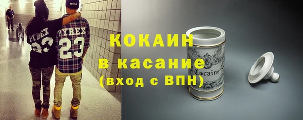 ГАЛЛЮЦИНОГЕННЫЕ ГРИБЫ Ельня