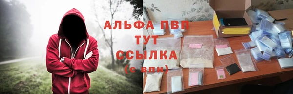 амф Зерноград