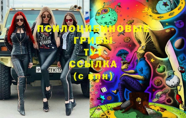 ГАЛЛЮЦИНОГЕННЫЕ ГРИБЫ Ельня