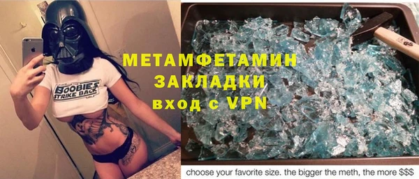 ГАЛЛЮЦИНОГЕННЫЕ ГРИБЫ Ельня
