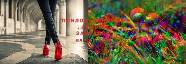 амф Зерноград