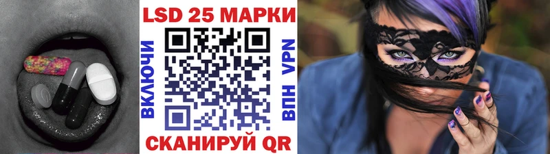hydra как войти  Курчалой  Лсд 25 экстази ecstasy  магазин продажи  