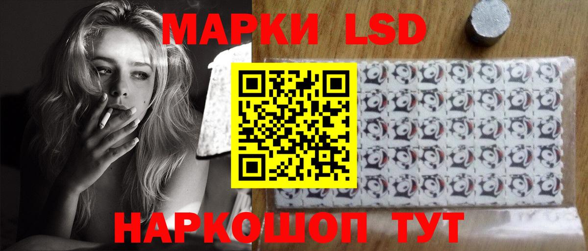Курчалой  ЛСД экстази кислота  Лсд 25 экстази кислота  Вход с VPN 