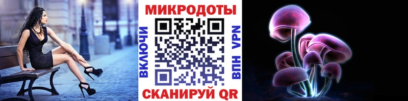 наркотики  Курчалой  Галлюциногенные грибы Cubensis 