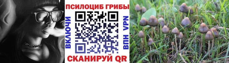 Псилоцибиновые грибы мухоморы Курчалой