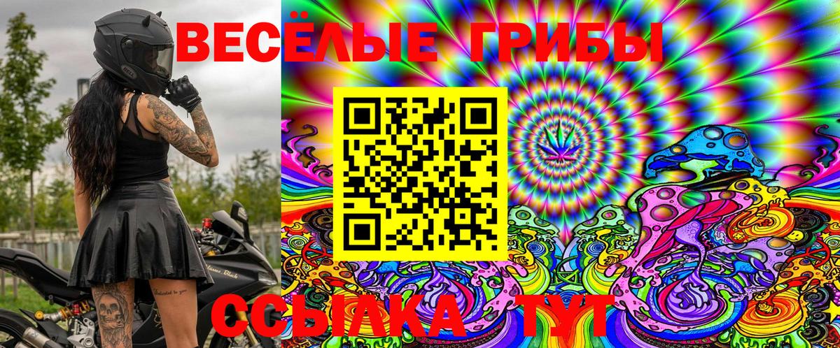 Курчалой  Псилоцибиновые грибы ЛСД  Псилоцибиновые грибы Psilocybe  Вход с VPN 